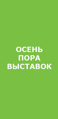 Quality Expo