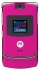 Motorola RAZR in Pink