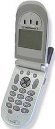 Motorola V60i