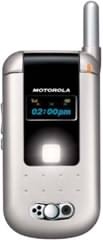 Motorola V868