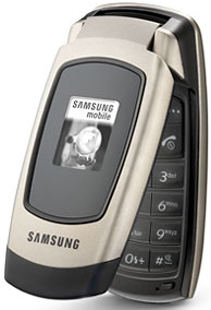 Samsung SGH-X500