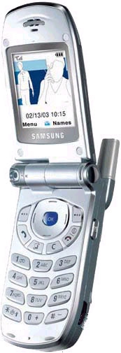 Samsung SGH-Z100
