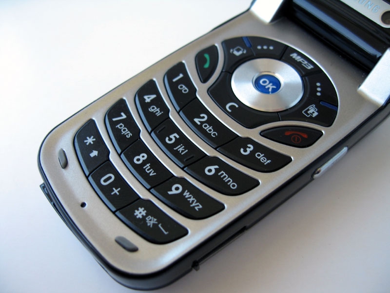 Samsung SGH-Z300