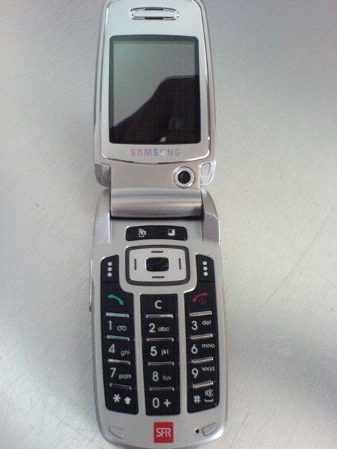 Samsung SGH-Z500