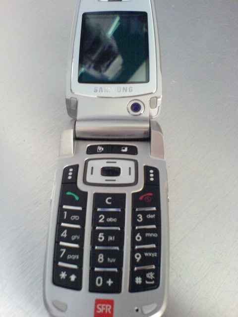 Samsung SGH-Z500