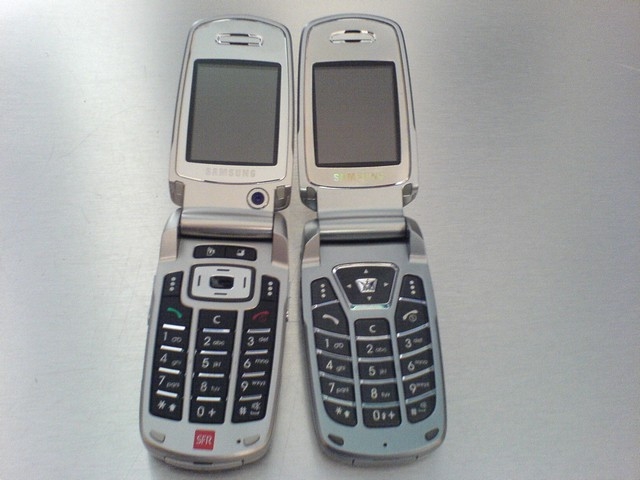 Samsung SGH-Z500