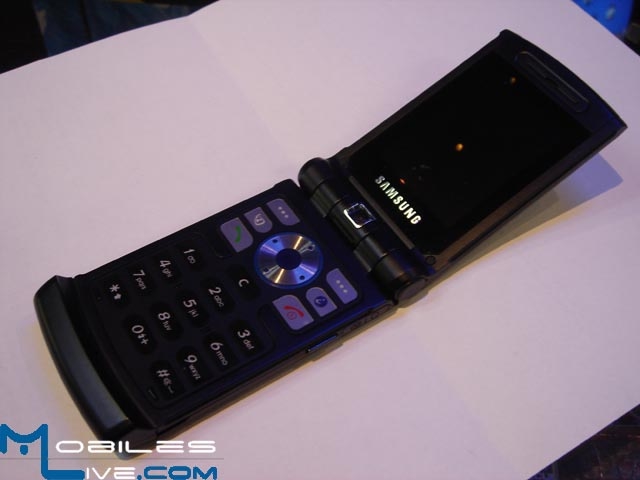 Samsung SGH-Z510