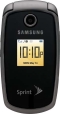 Samsung SPH-M300