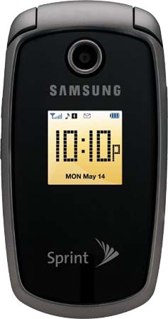 Samsung SPH-M300