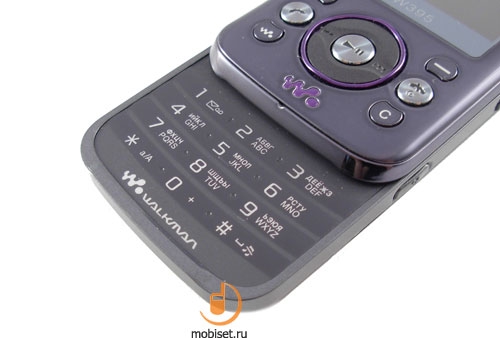 Sony Ericsson W395