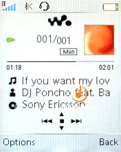 Sony Ericsson W395