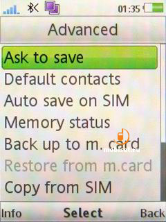 Sony Ericsson W508
