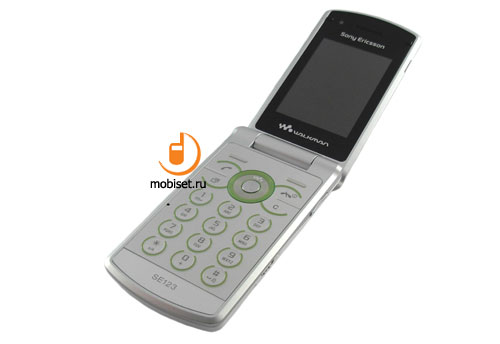 Sony Ericsson W508