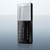  Sony Ericsson Xperia Pureness      . 