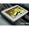   Baidu Digital B618