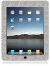 iPad    20  