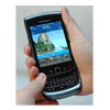 BlackBerry Bold 9800   BlackBerry Torch 9800?