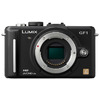   Panasonic GF1    Full HD