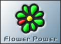 ICQ   :   JAVA-