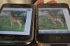   IPS LCD (iPhone 4)  Super AMOLED (Galaxy S)