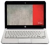 Verizon   HP Pavilion dm1