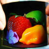    Samsung  WVGA-