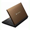   Toshiba DynaBook N300    