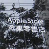     Apple Store