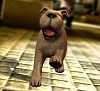 Gameloft    The Adventures of Tintin