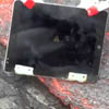 : iPad 2    
