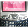    Palm