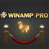 Winamp Pro   Android