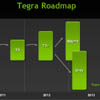       30    Nvidia Tegra 3