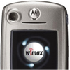  
   Motorola WiMAX