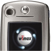      Motorola WiMAX