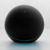 Google    Nexus Q