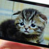  HTC  Motorola     