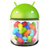 Android 4.1  Samsung Galaxy S III   