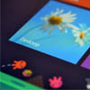 Intel: Microsoft  Windows 8   ,    