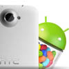    HTC,   Jelly Bean