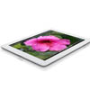   Apple    iPad