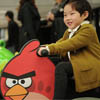      Angry Birds