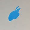    iPad mini 2