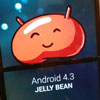     Google Nexus 4  Android 4.3