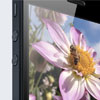 Apple      iPhone 5S