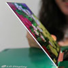 LG Display   