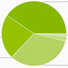 Jelly Bean     40% Android-