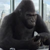 Corning      Gorilla Glass