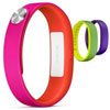 CES 2014: Sony    SmartBand SWR10
