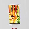   LG  6- QHD-